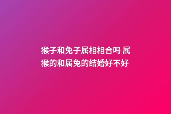 猴子和兔子属相相合吗 属猴的和属兔的结婚好不好